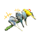 我が家の鳥たち！！（個別スタンプ：8）