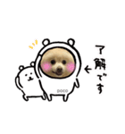 愛犬ポコの日常スタンプ2（個別スタンプ：1）