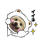 愛犬ポコの日常スタンプ2（個別スタンプ：6）