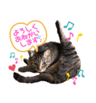 おんぷ♪②（個別スタンプ：6）