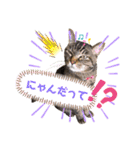 おんぷ♪②（個別スタンプ：15）