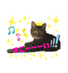 おんぷ♪②（個別スタンプ：16）