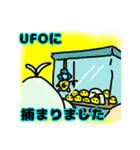 欠席するトリ（個別スタンプ：10）