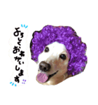 むらさきわーるど（個別スタンプ：1）