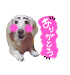 むらさきわーるど（個別スタンプ：3）