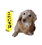 むらさきわーるど（個別スタンプ：6）