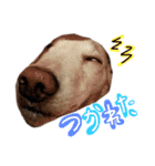 むらさきわーるど（個別スタンプ：9）