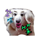 むらさきわーるど（個別スタンプ：10）