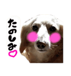 むらさきわーるど（個別スタンプ：12）