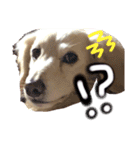 むらさきわーるど（個別スタンプ：15）