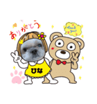 みことわんこ⑭（個別スタンプ：1）