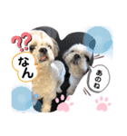 みことわんこ⑭（個別スタンプ：4）