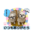 みことわんこ⑭（個別スタンプ：7）