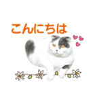 にゃーこの気まぐれ2（個別スタンプ：2）