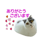 にゃーこの気まぐれ2（個別スタンプ：4）