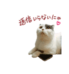 にゃーこの気まぐれ2（個別スタンプ：8）
