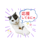 にゃーこの気まぐれ2（個別スタンプ：16）