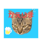 よちゅでおはなし（個別スタンプ：1）