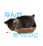 よちゅでおはなし（個別スタンプ：6）