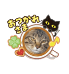 よちゅでおはなし（個別スタンプ：10）