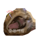 よちゅでおはなし（個別スタンプ：11）
