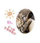 よちゅでおはなし（個別スタンプ：14）
