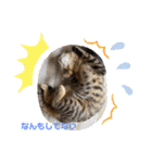 よちゅでおはなし（個別スタンプ：16）