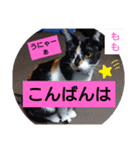 そらもも団3（個別スタンプ：1）
