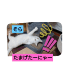 そらもも団3（個別スタンプ：2）