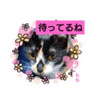 そらもも団3（個別スタンプ：3）