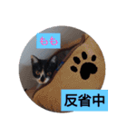 そらもも団3（個別スタンプ：4）