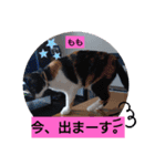 そらもも団3（個別スタンプ：5）