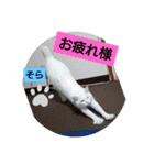 そらもも団3（個別スタンプ：7）