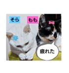 そらもも団3（個別スタンプ：8）