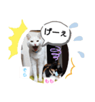 そらもも団3（個別スタンプ：10）
