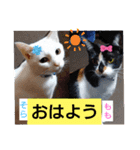 そらもも団3（個別スタンプ：11）
