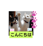 そらもも団3（個別スタンプ：12）