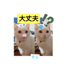 そらもも団3（個別スタンプ：13）