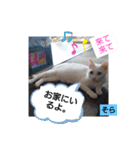そらもも団3（個別スタンプ：14）
