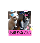 そらもも団3（個別スタンプ：16）