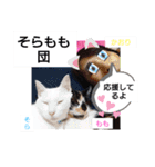 そらもも団3（個別スタンプ：20）