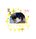 そらもも団3（個別スタンプ：21）