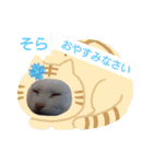 そらもも団3（個別スタンプ：22）