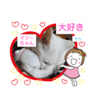そらもも団3（個別スタンプ：23）