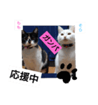 そらもも団3（個別スタンプ：24）