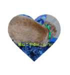 Rei ペット（個別スタンプ：13）