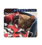 Rug Sticker Ⅱ 〜daily life〜（個別スタンプ：4）