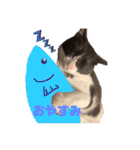 にゃんズ時々いぬ（個別スタンプ：3）