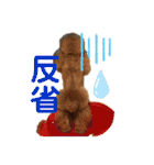 陽気なトイプー  三兄弟（個別スタンプ：17）