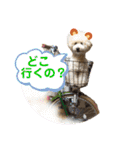 陽気なトイプー  三兄弟（個別スタンプ：30）